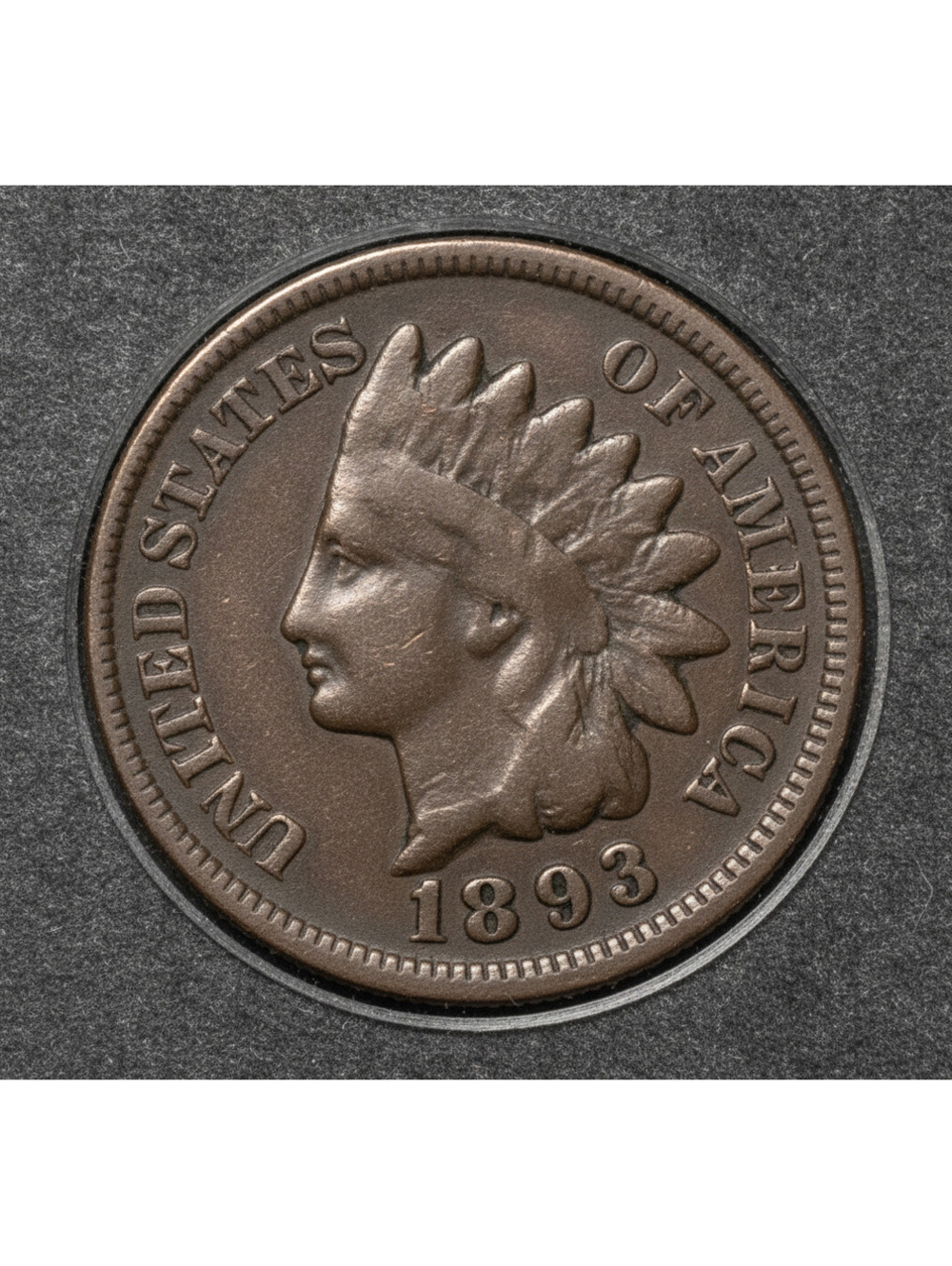 1893 Indian Head Penny Good Condition #206